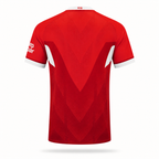 Maillot Extérieur VfB Stuttgart 2024/2025