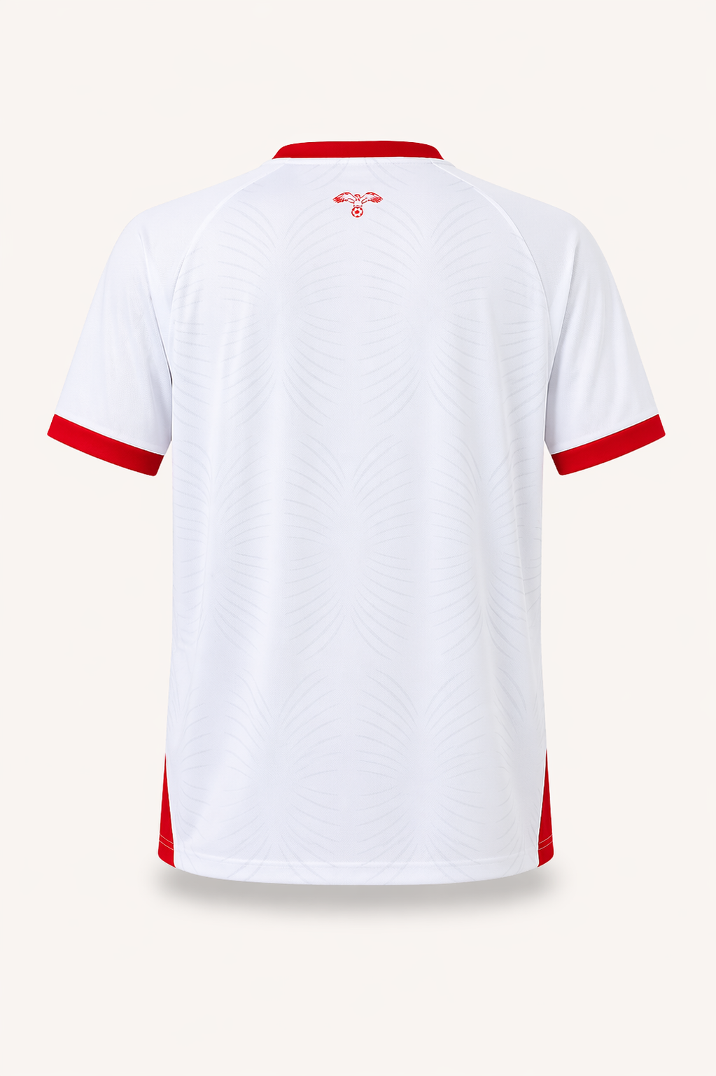 Maillot domicile Jordanie 2026